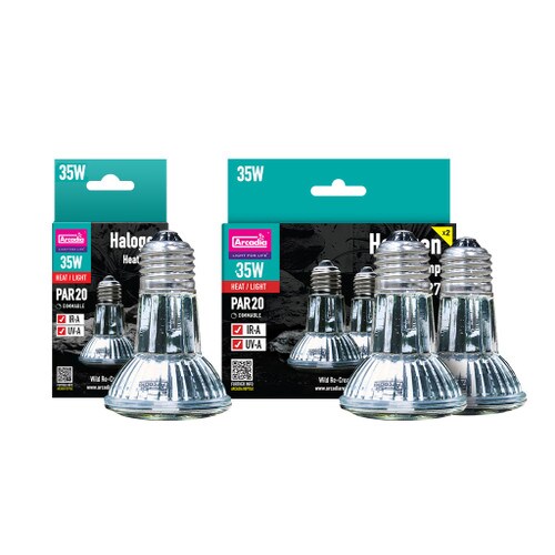 Single & Twin Halogen Flood Lamp